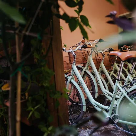 La Serena 3* بيبيوني