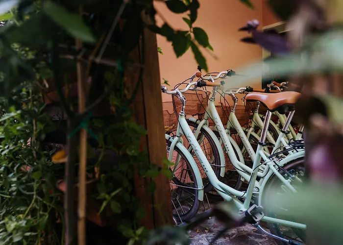 La Serena 3* بيبيوني