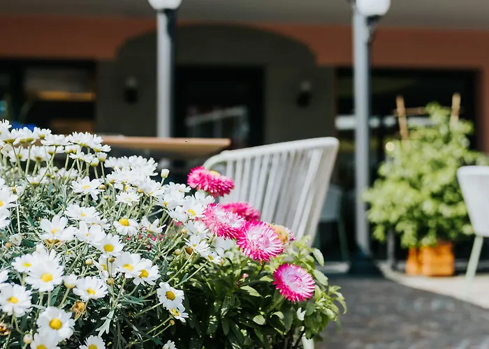 فندق La Serena 3*